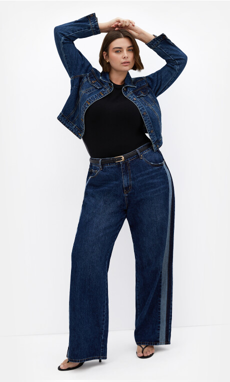 Plus Size Classic Denim Jacket - denim