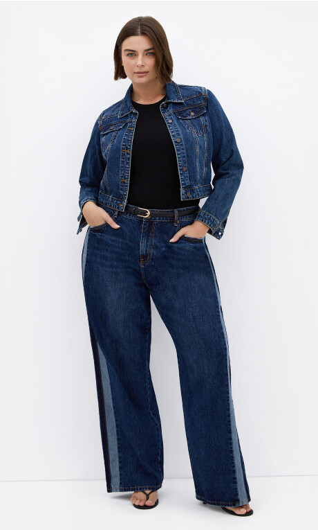 Plus Size Classic Denim Jacket - denim