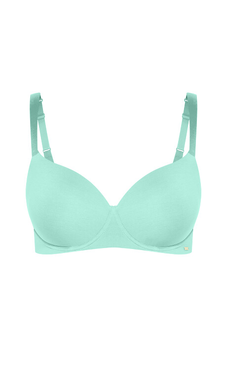 Smooth & Chic Cotton T-Shirt Bra - aqua Plus Size