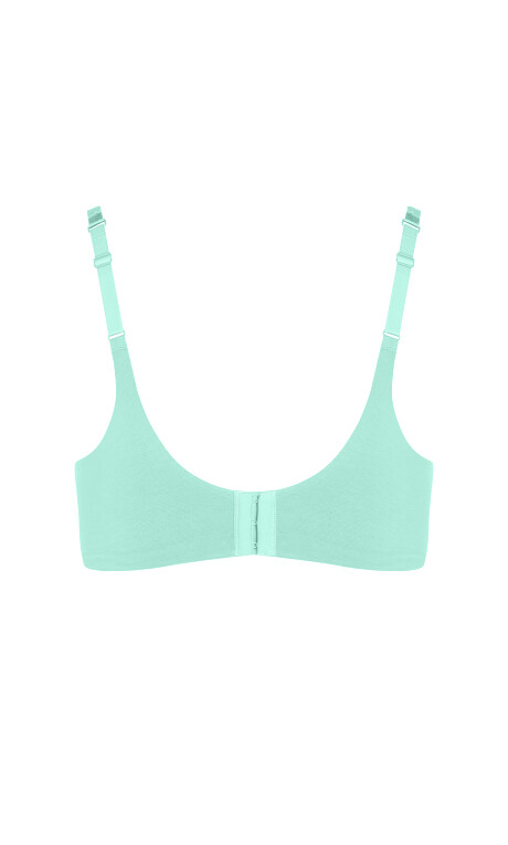 Smooth & Chic Cotton T-Shirt Bra - aqua Plus Size