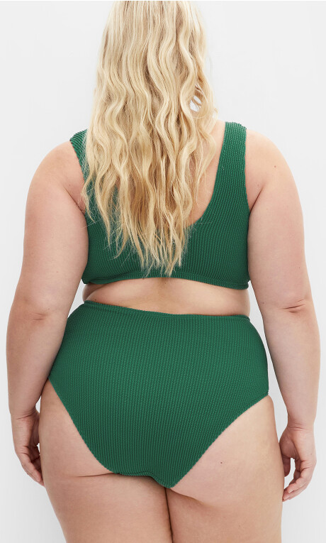 Avalon Hi Waist Bikini Brief - green Plus Size