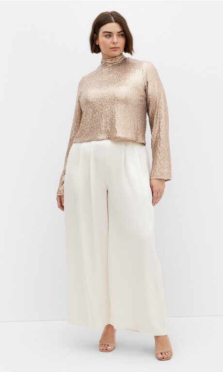 Plus Size Odyessy Top - champagne
