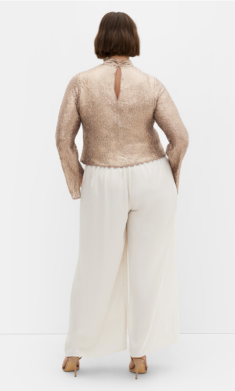 Plus Size Odyessy Top - champagne