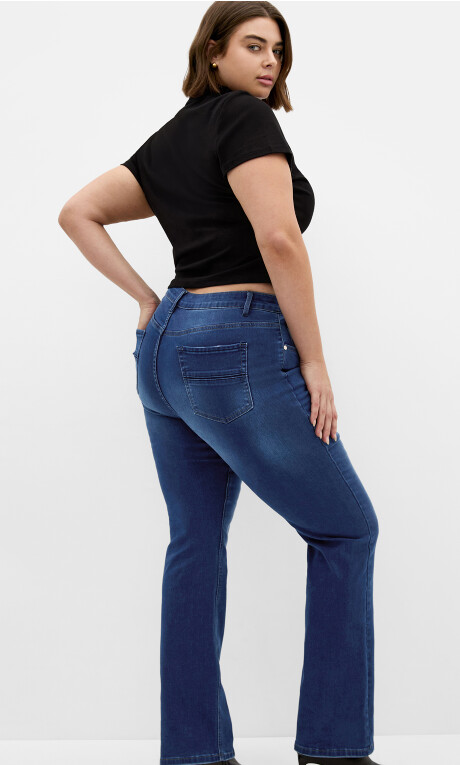 Plus Size Jean Harley Bleg R
