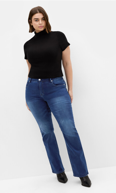 Plus Size Jean Harley Bleg R