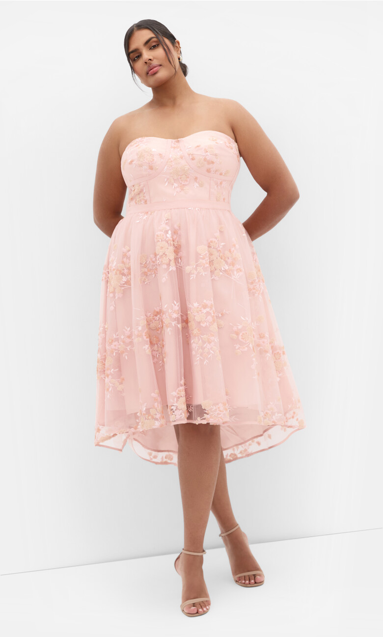 Plus Size Ambrosia Strapless Tulle Dress - Ballet Pink