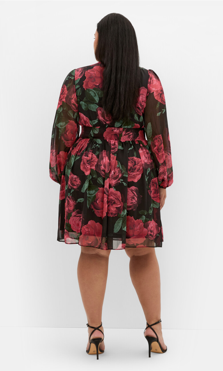 Serina Print Mini Dress - black